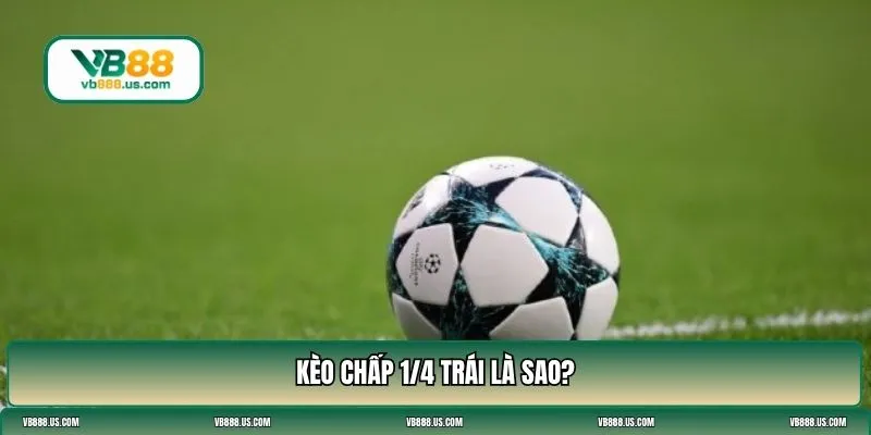chấp 1/4 trái là sao