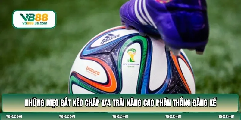 chấp 1/4 trái là sao