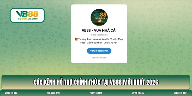 liên hệ VB88